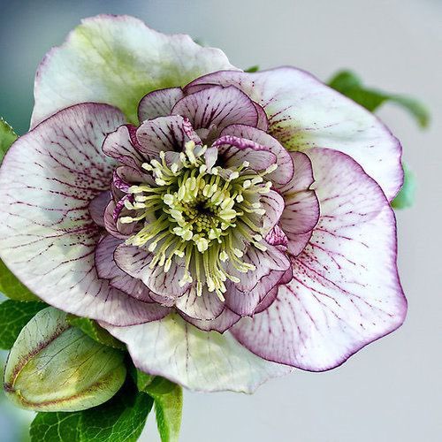 🇪🇸🇳🇬🫶😘💃 post 2