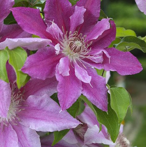 🇪🇸🇳🇬🫶😘💃 post 3