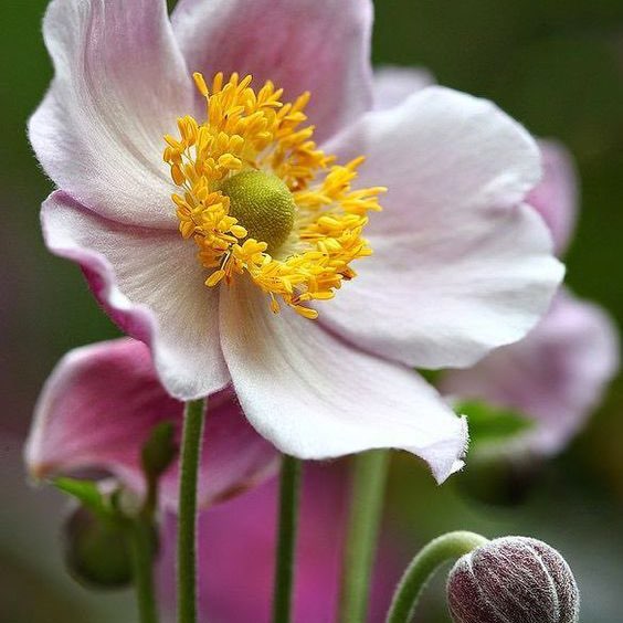 🇪🇸🇳🇬🫶😘💃 post 2