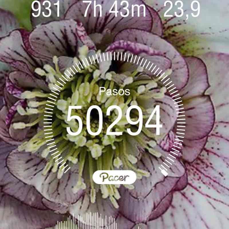 🇪🇸🇳🇬🫶😘💃 post 3