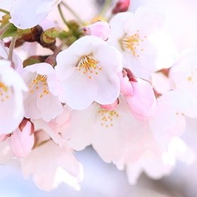 🇪🇸🇳🇬🫶😘💃 post 2