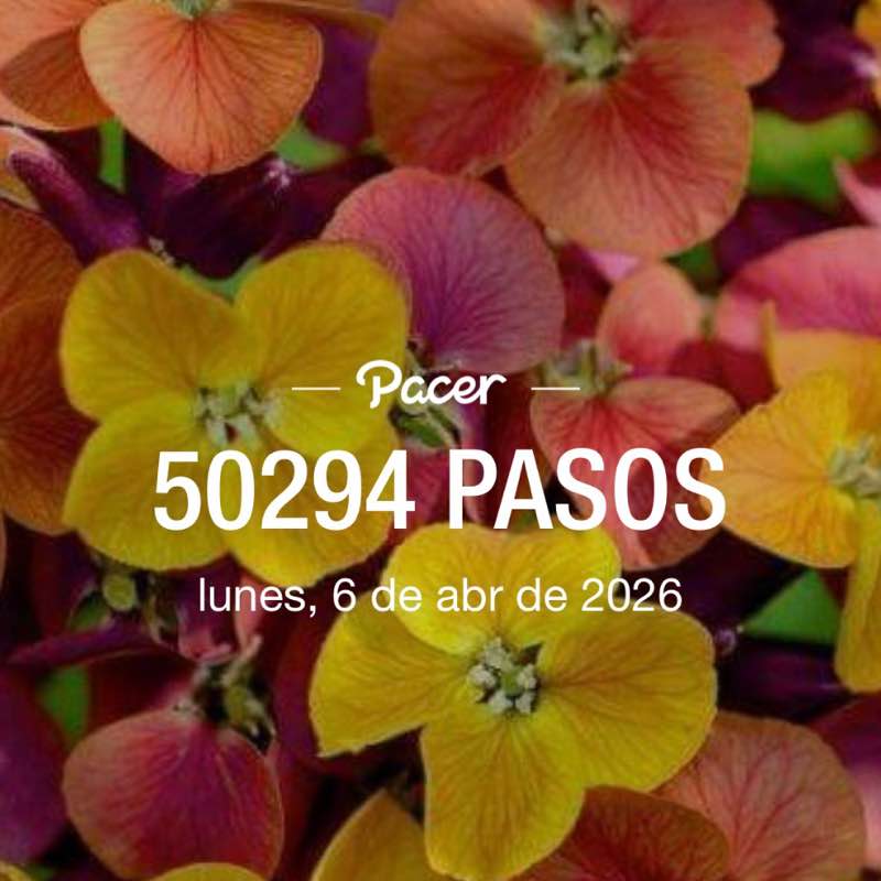 🇪🇸🇳🇬🫶😘💃 post 1