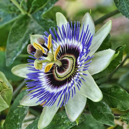 🇪🇸🇳🇬🫶😘💃 post 3