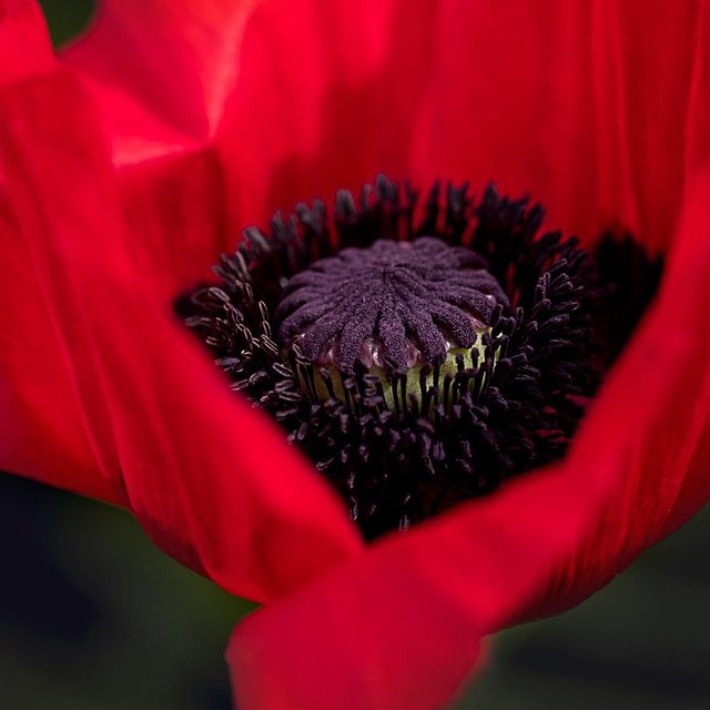 🇪🇸🇳🇬🫶😘💃 post 2