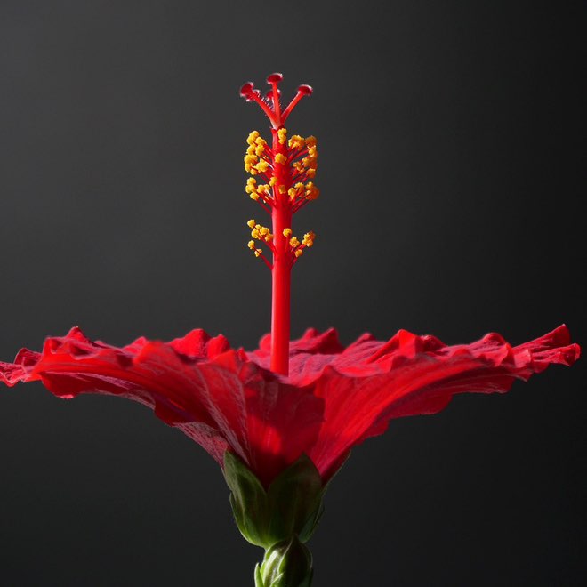 🇪🇸🇳🇬🫶😘💃 post 1