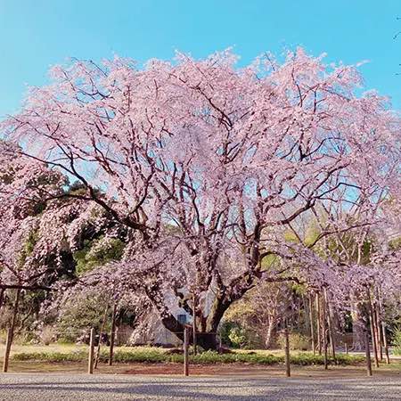 🇪🇸🇳🇬🫶😘💃 post 3