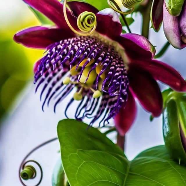 🇪🇸🇳🇬🫶😘💃 post 1