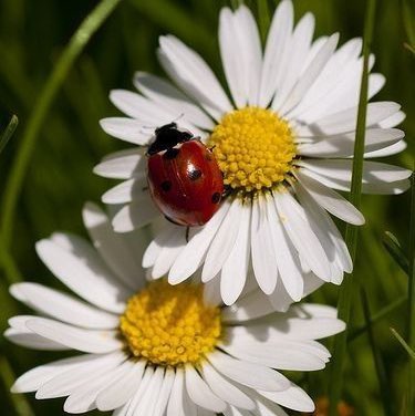 🇪🇸🇳🇬🫶😘💃 post 1