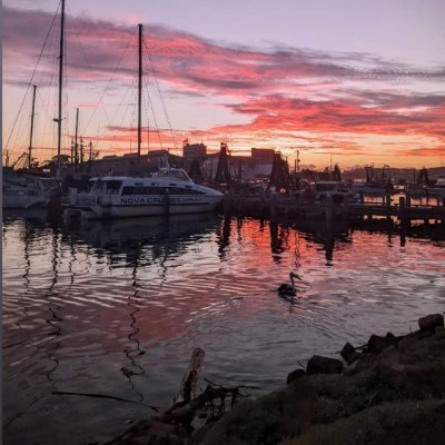 Jacqui 🇦🇺 post 1