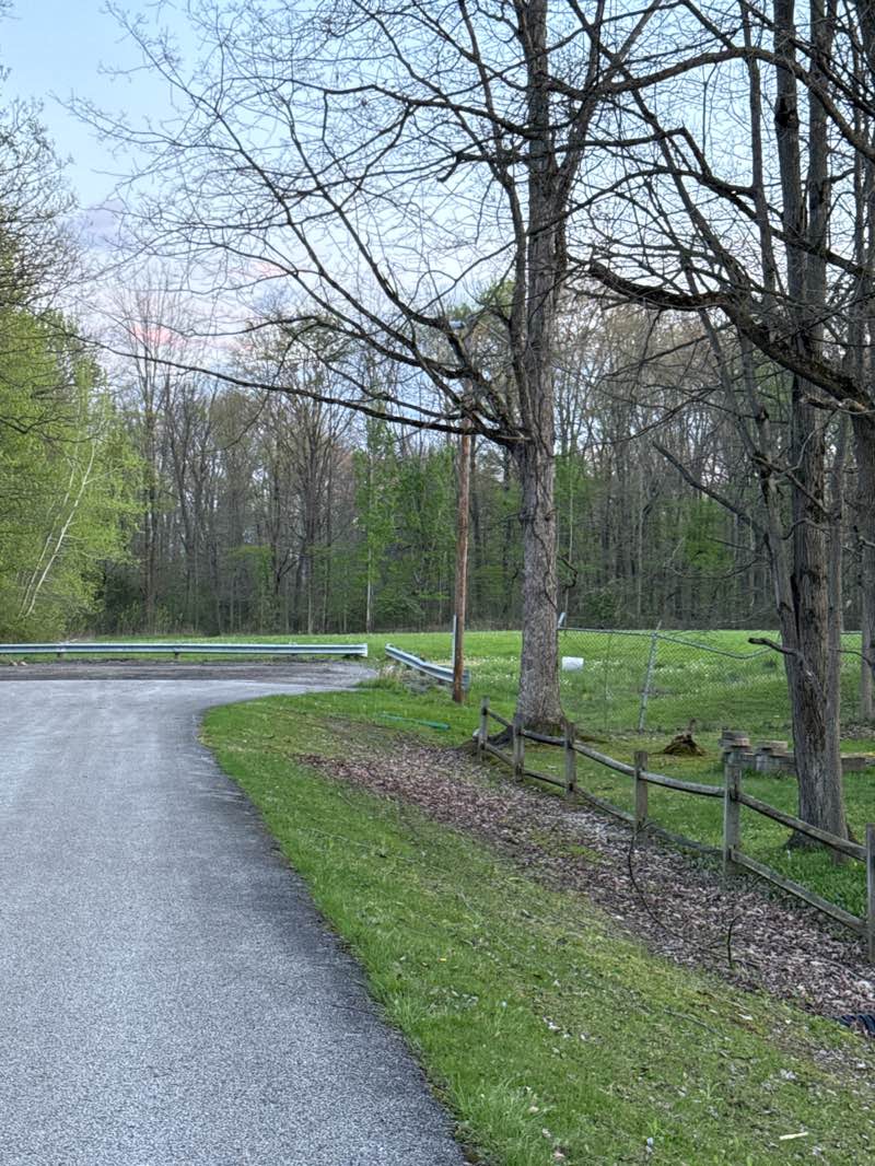 walking near me in Picnic Lake Park in spring