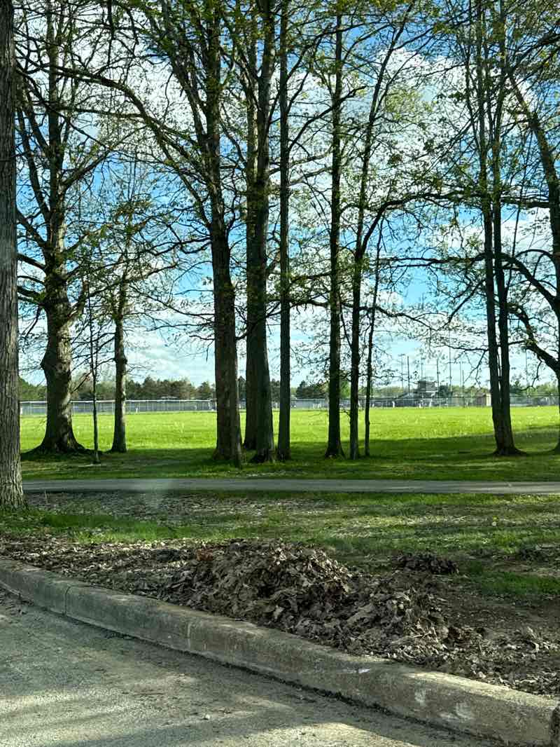 walking near me in Solon Community Park in spring