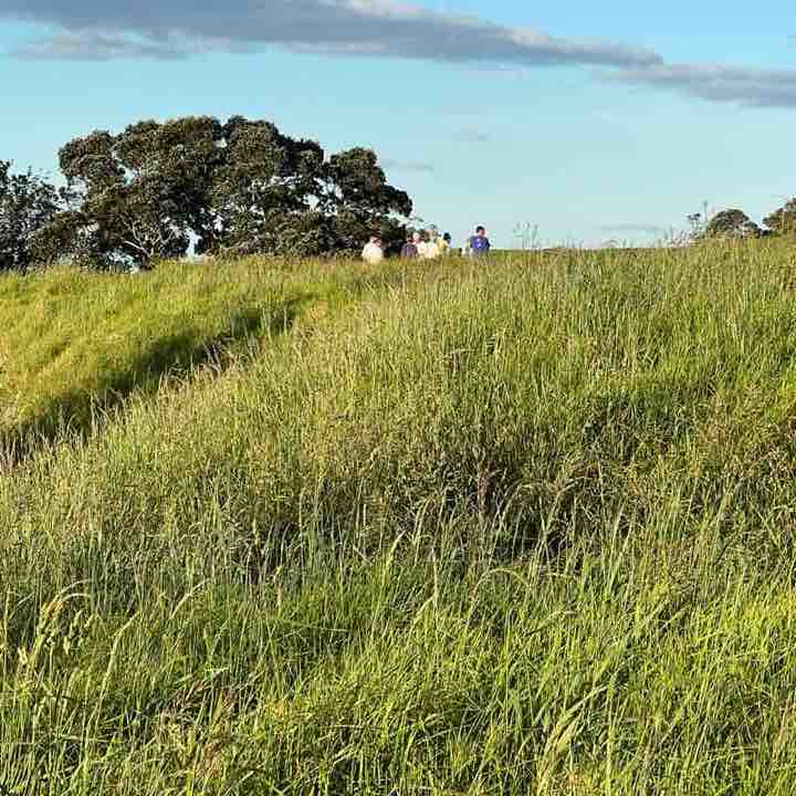 PacerGuy_1961 post 3