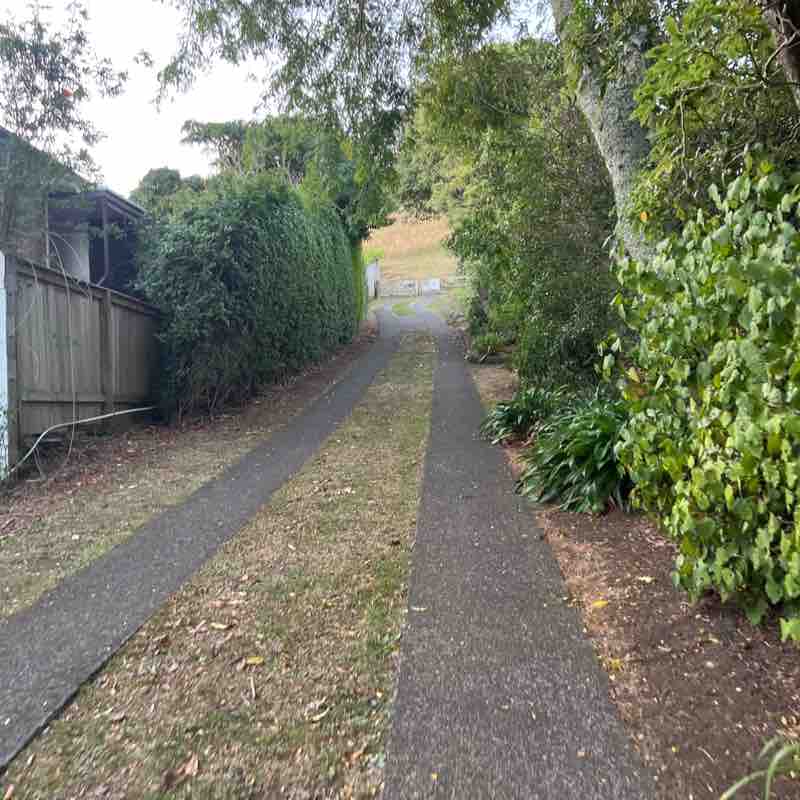 PacerGuy_1961 post 1