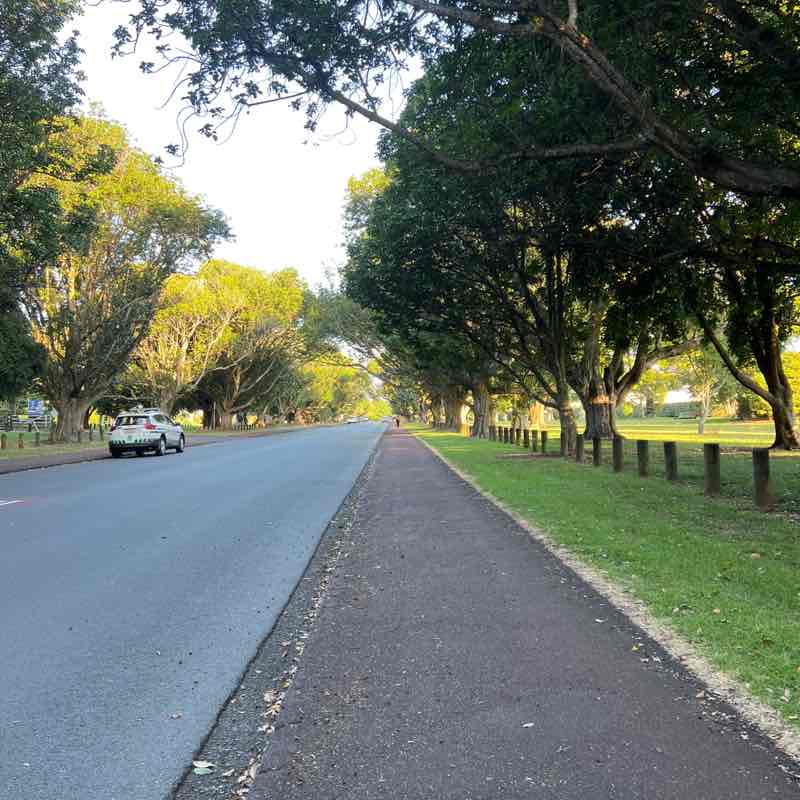 PacerGuy_1961 post 1