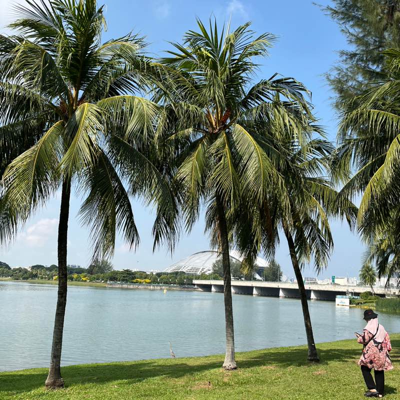Annie Singapore