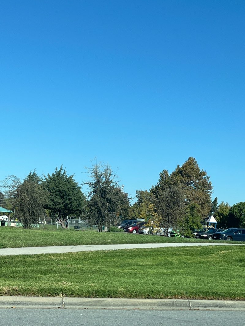 walking near me in Los Cerritos Community Park in autumn