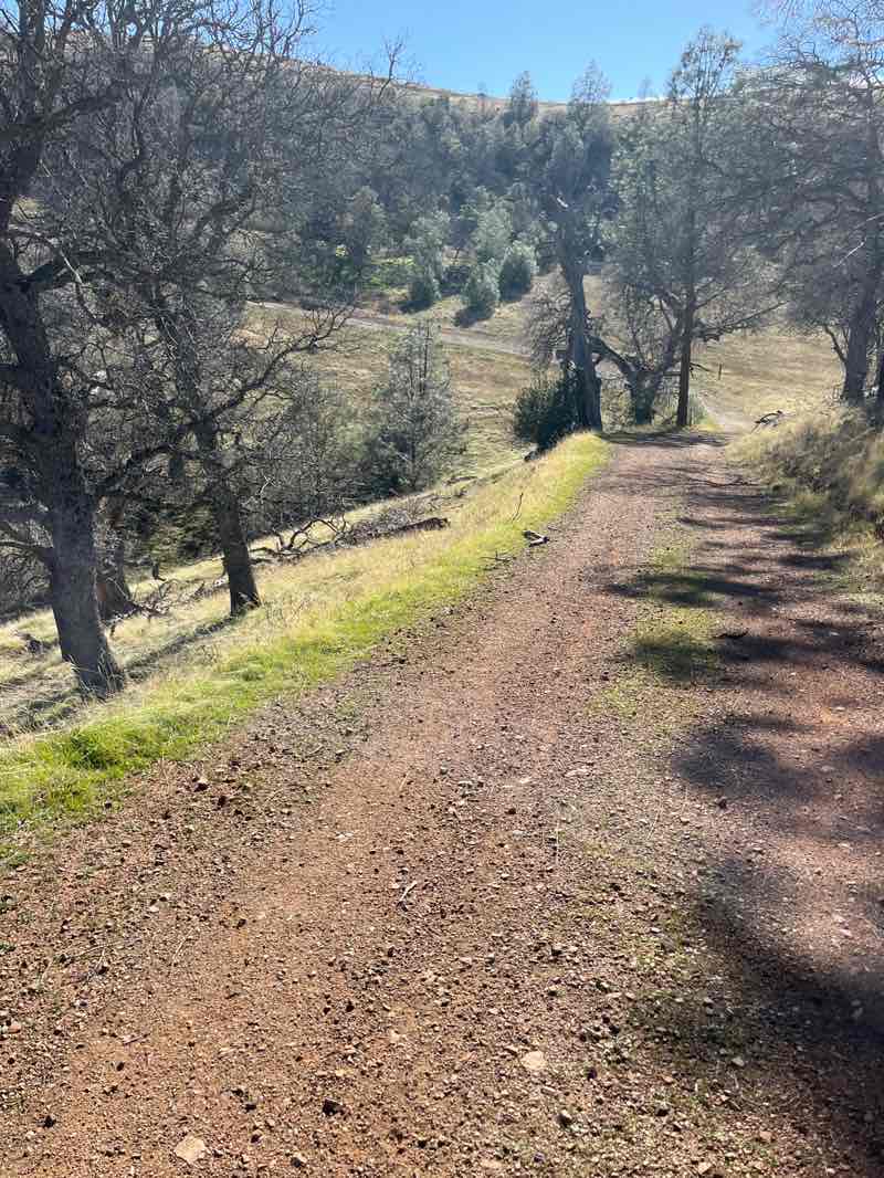 walking near me in Ohlone Regional Wilderness Area in winter