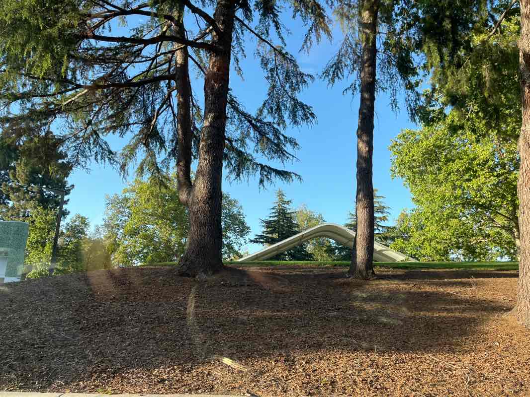 walking near me in Charles F Kennedy Park in spring