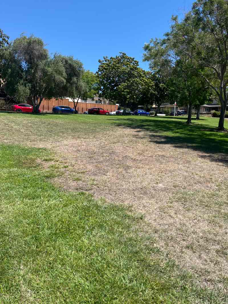 walking near me in Ben Rogers Park in autumn