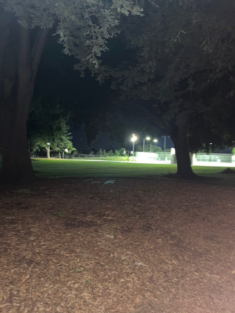 walking near me in Centerville Community Park in spring
