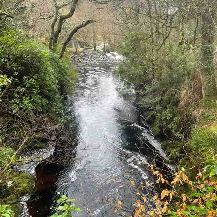 ronnie 🏴󠁧󠁢󠁳󠁣󠁴󠁿🤘 post 3