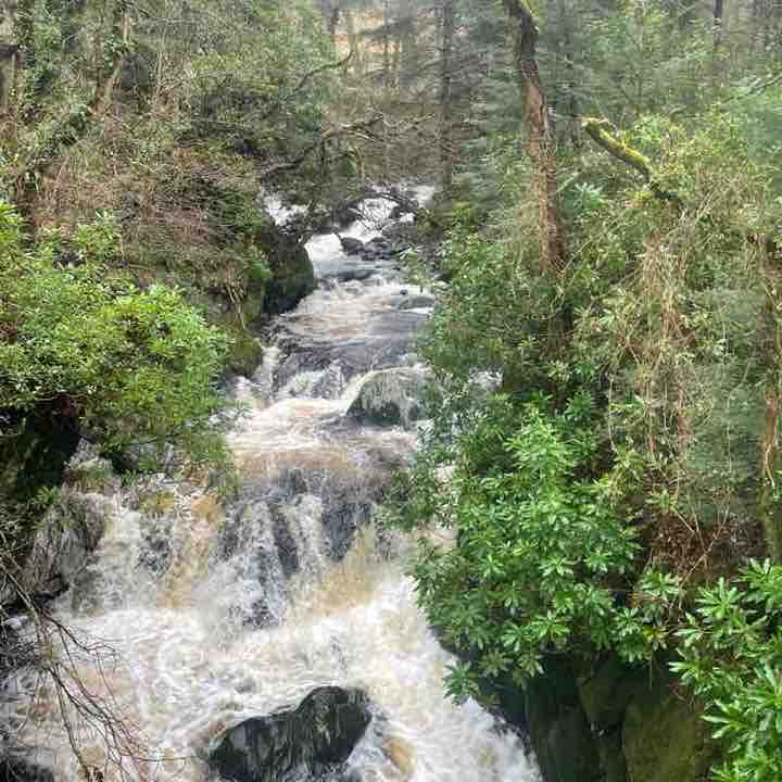 ronnie 🏴󠁧󠁢󠁳󠁣󠁴󠁿🤘 post 2