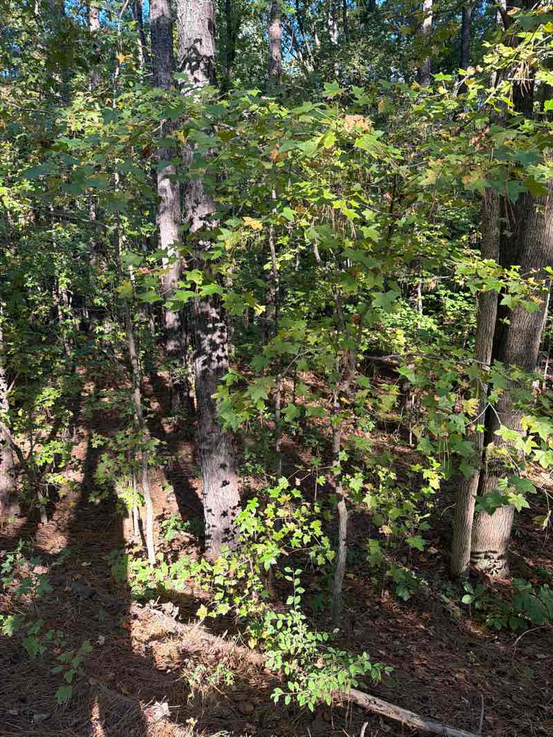 walking near me in Planned Park in autumn