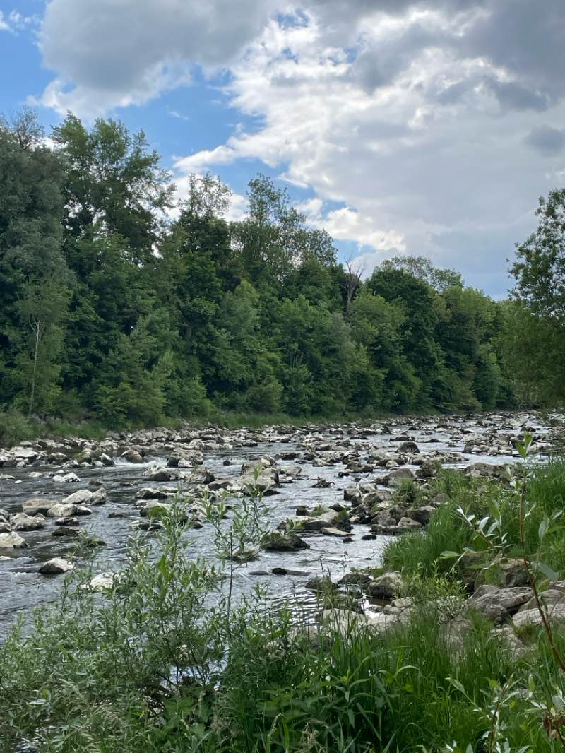 walking near me in Grünanlage Wertachufer in spring
