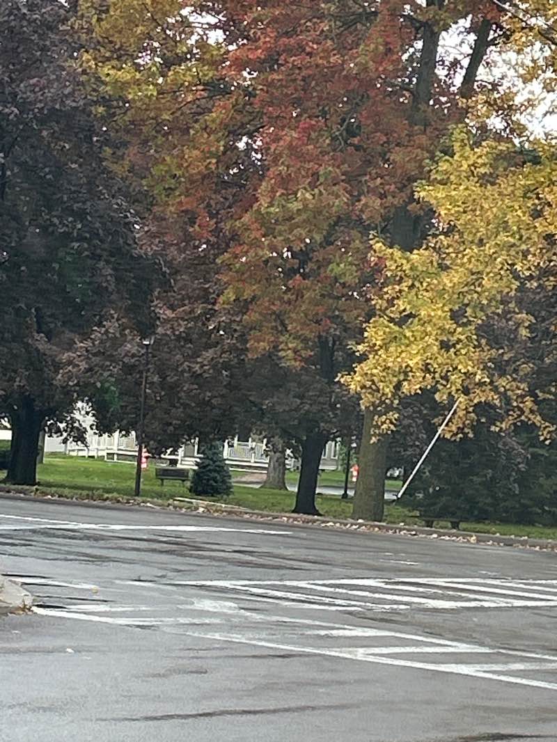 walking near me in Johnson Park in autumn