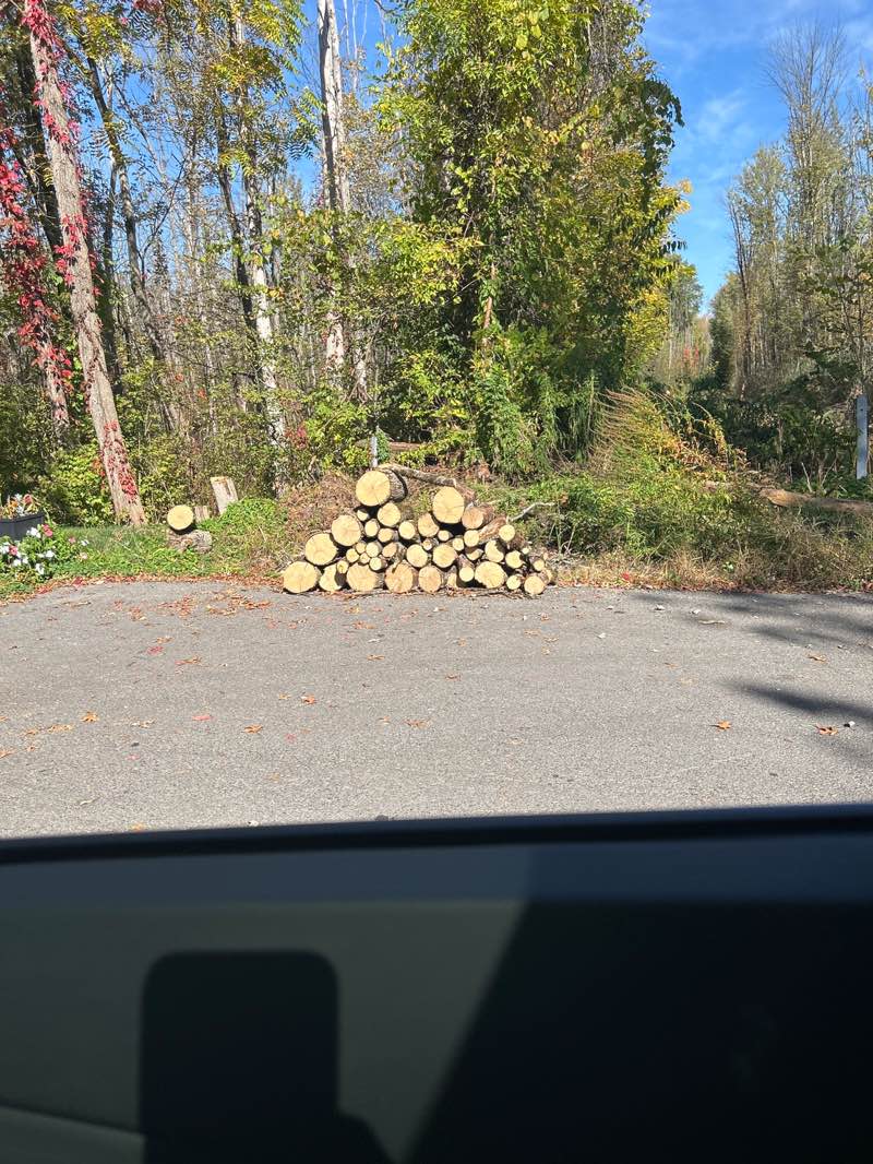 walking near me in Seneca River Waterway Access in autumn