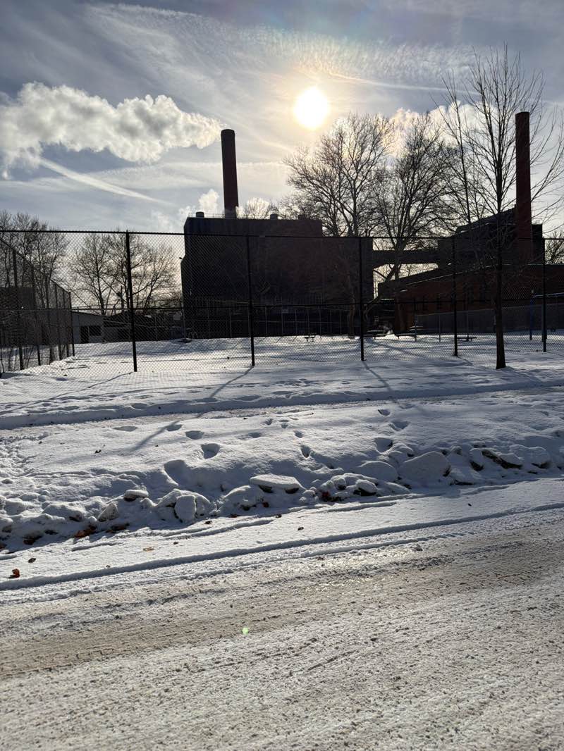 walking near me in Wilson Park in winter