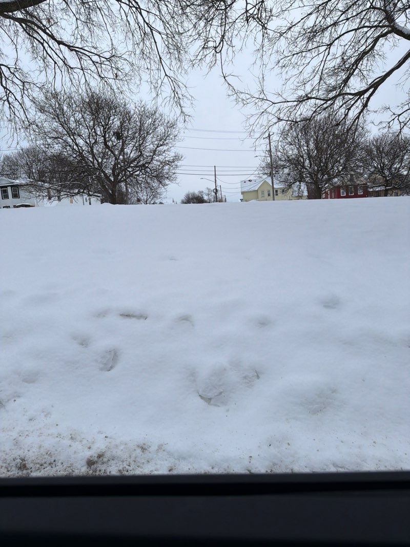 walking near me in DeMong Park in winter