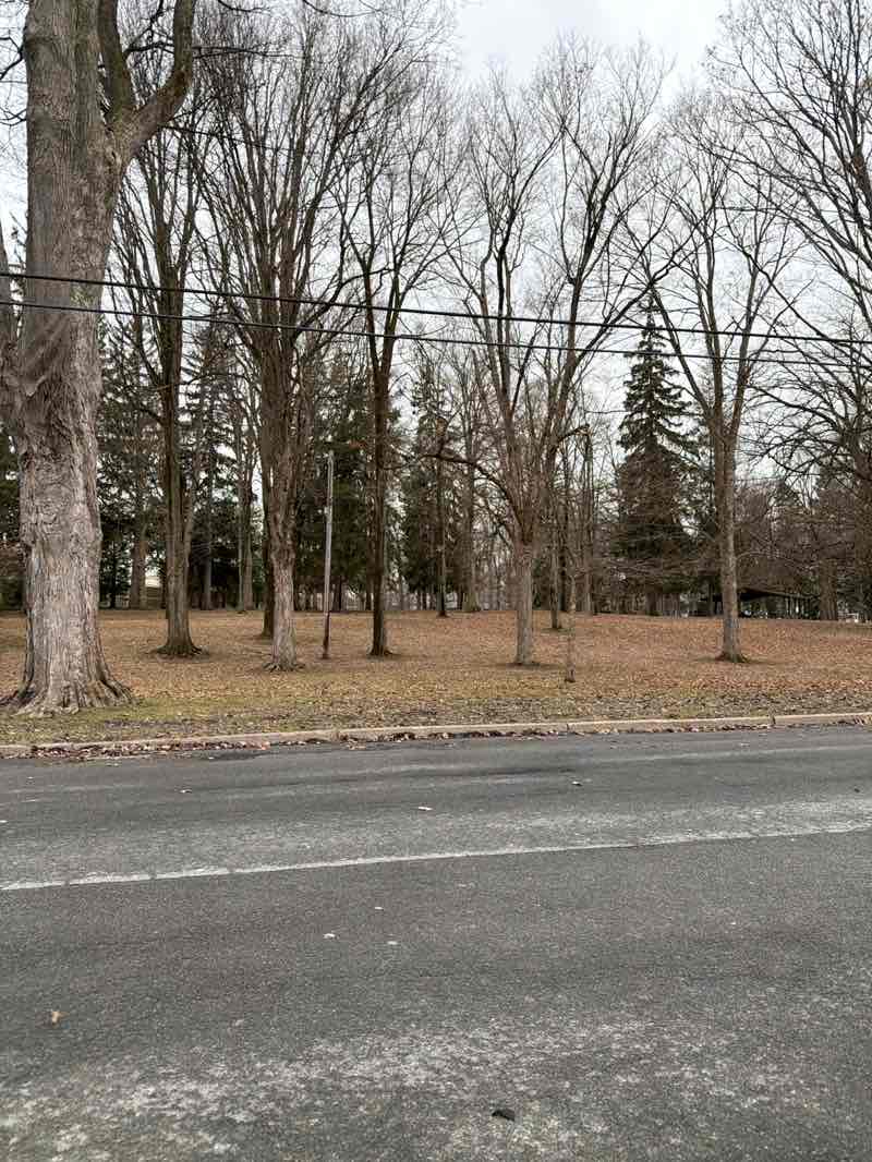 walking near me in Allen Park in spring