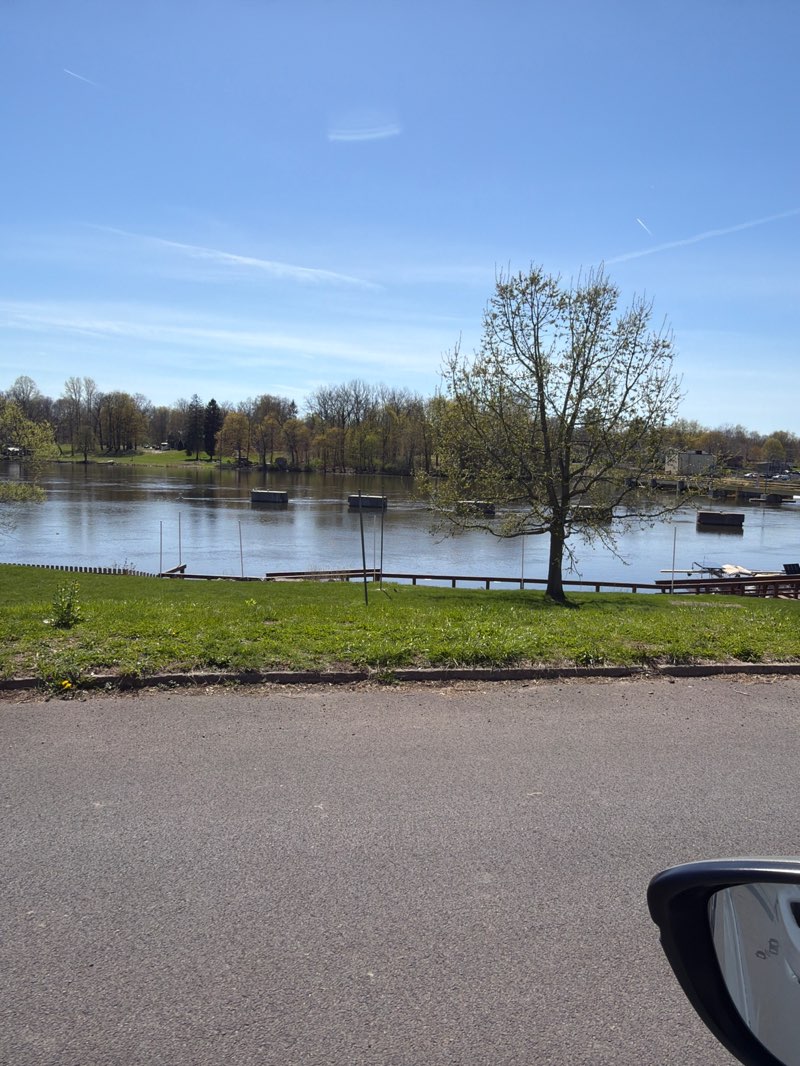 walking near me in Henley Park in spring