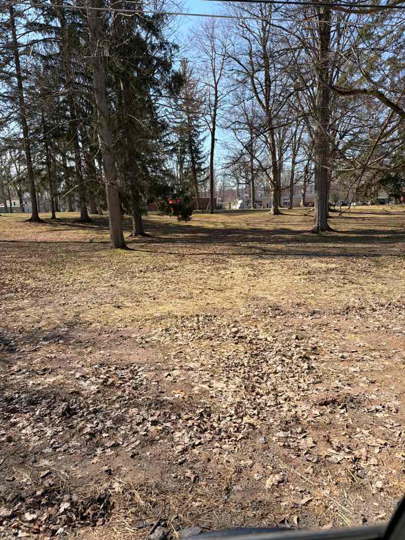 walking near me in Oneida Castle Village Park in spring
