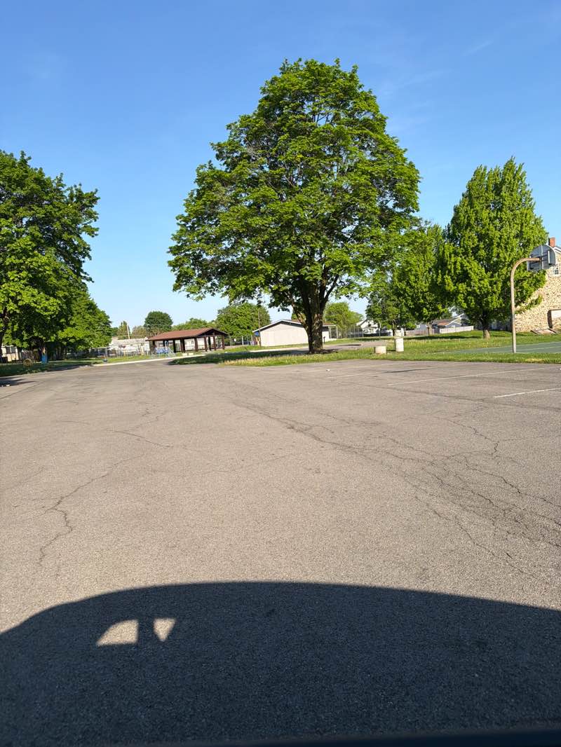 walking near me in Sehr Park in summer