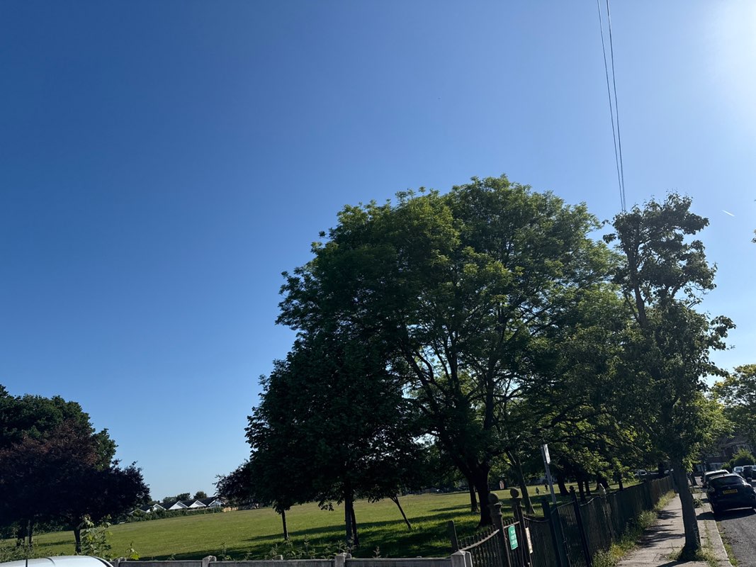 walking near me in Parkfields Recreation Ground in spring
