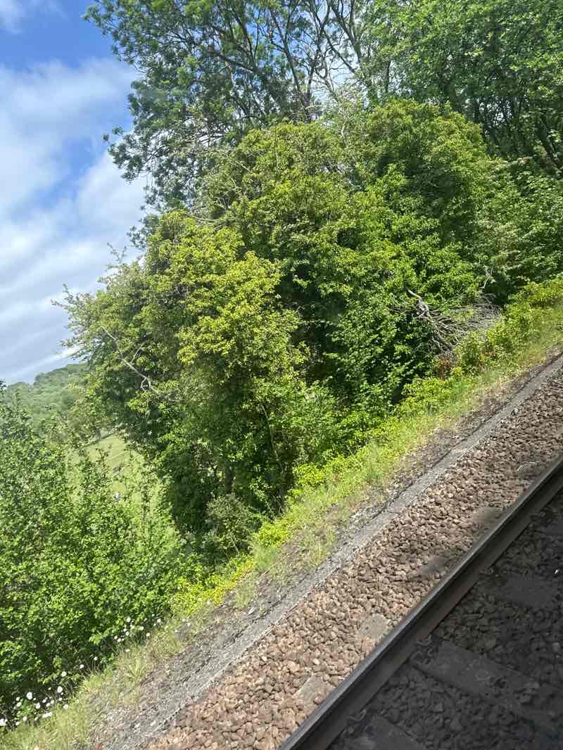 walking near me in Whyteleafe Recreation Ground in spring