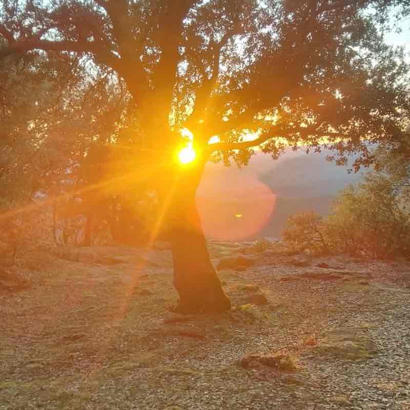 Les Amis à Melko saby post image