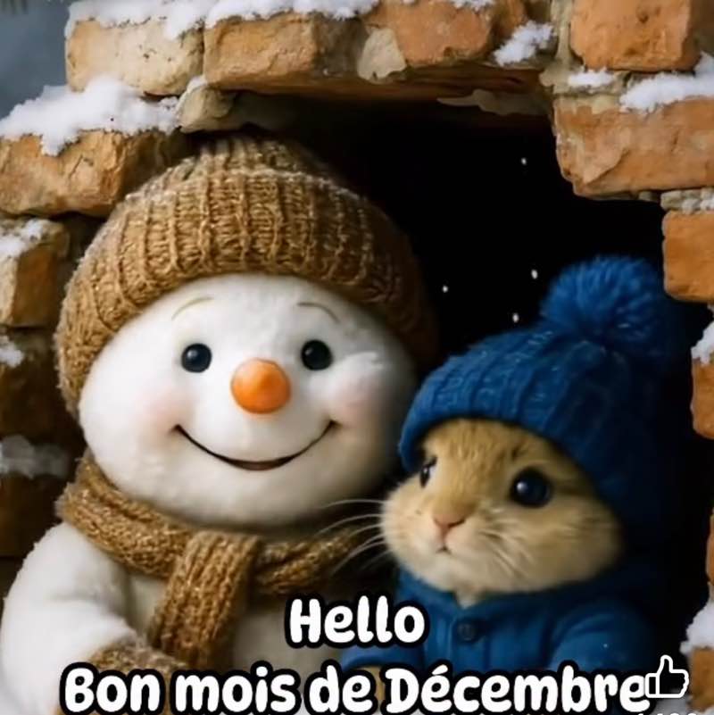 saby saby post image