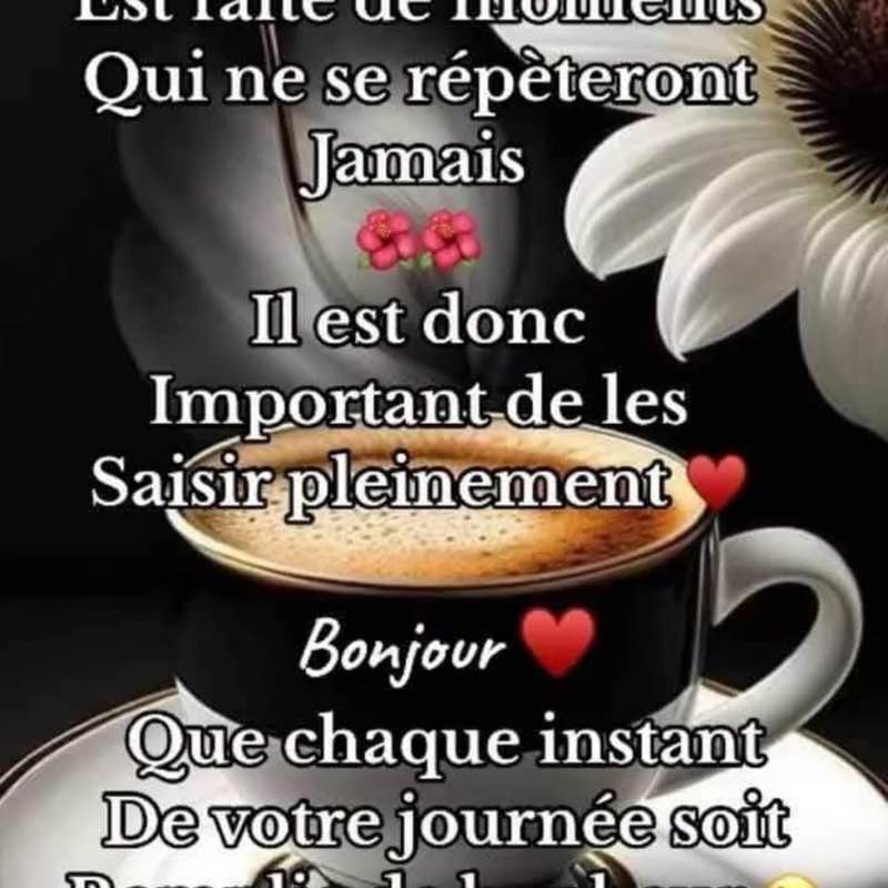 Les Amis à Melko saby post image