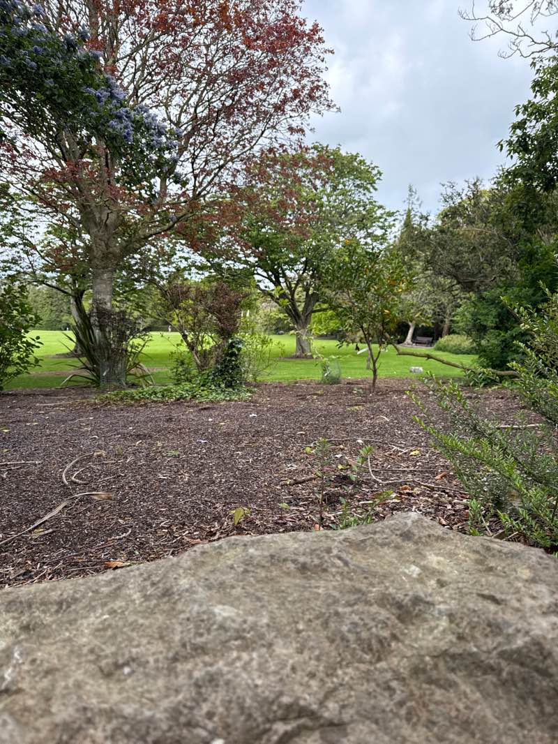 walking near me in Malahide Castle in spring