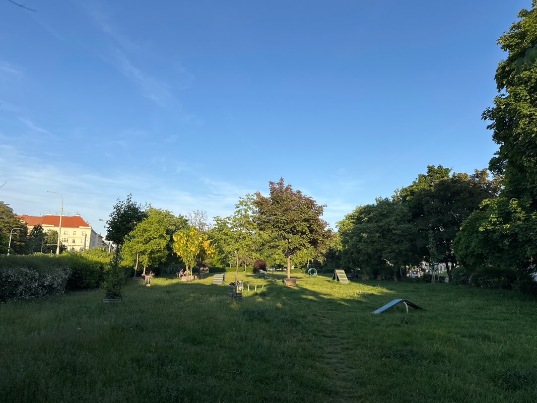 walking near me in Park Jiřiny Haukové a Jindřicha Chalupeckého in spring