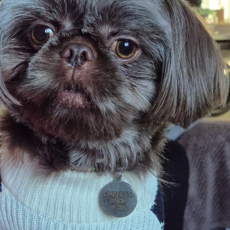 PacerGal_1976 profile