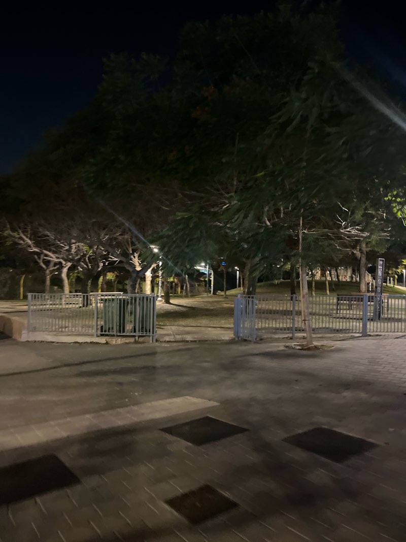 walking near me in Elifelet Public Garden in winter