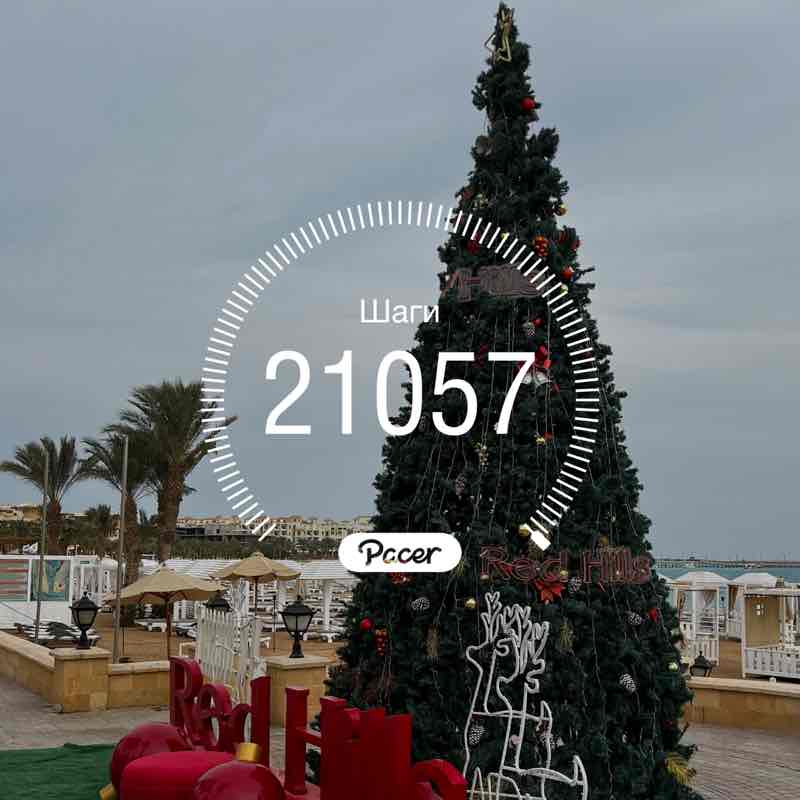 🌶 Sergey 198 RUS 🇷🇺 post 1