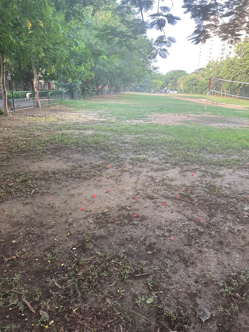 walking near me in open park in summer