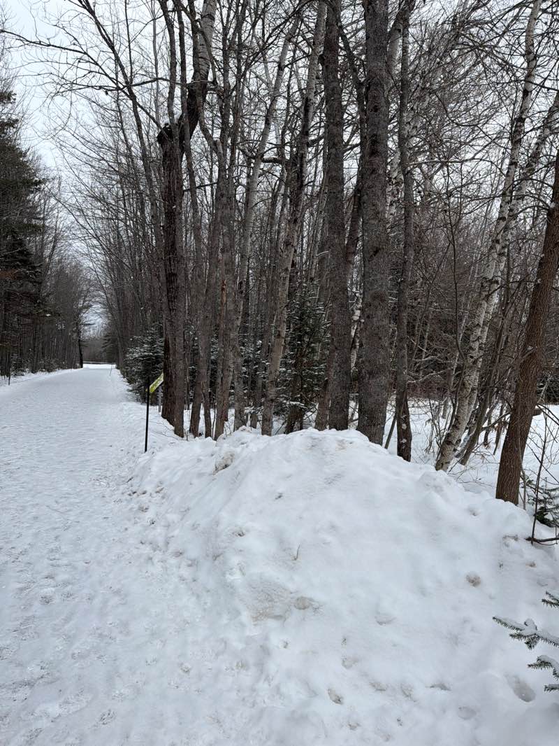 walking near me in Irishtown Park - Parc Irishtown in winter