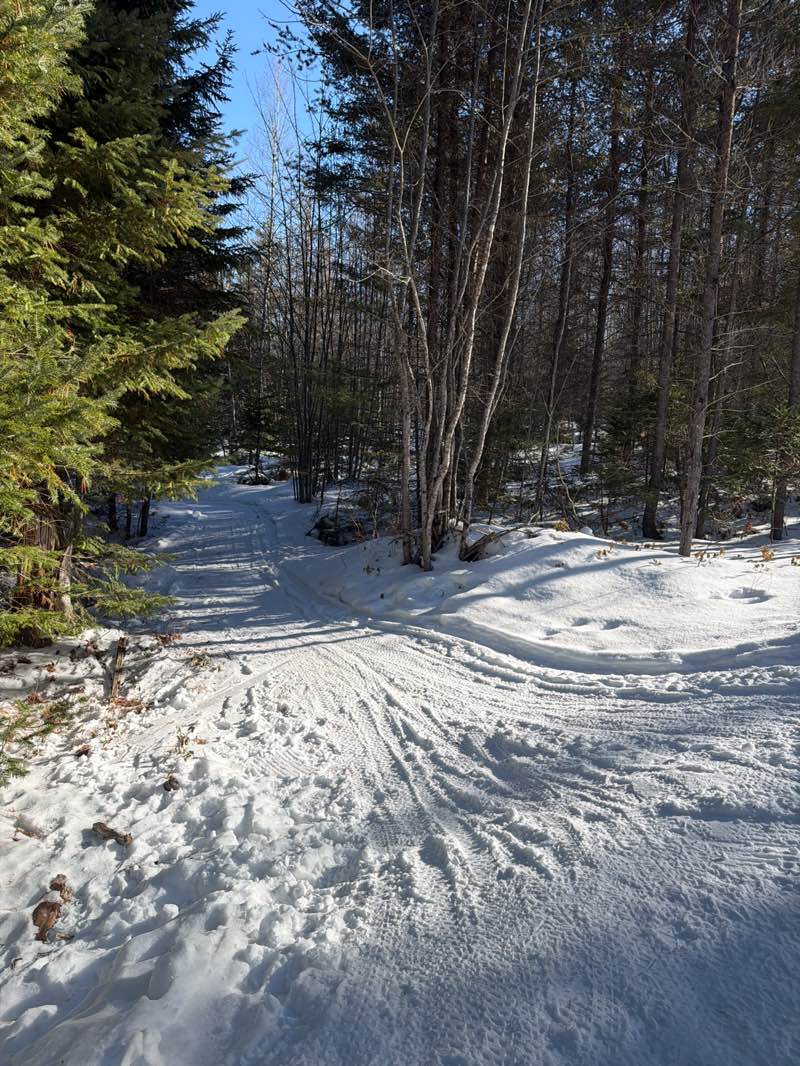 walking near me in Mill Creek Nature Park in winter