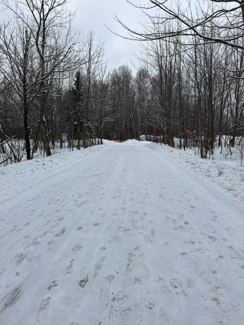 walking near me in Rotary St-Anselme Park in winter
